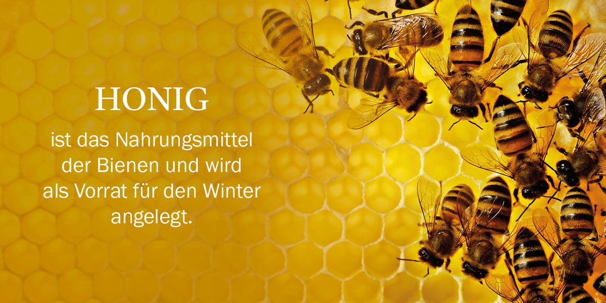 Honig Geschichten Seite 4