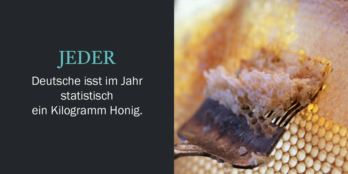 Honig Geschichten Seite 8